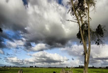 ...全红婵新角色,与霍启刚齐名,引发网友热烈讨论_跳水_训..