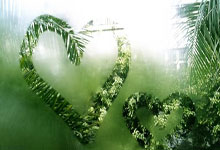 问鼎娱乐:05后大师赛决赛第一人!19岁新星险胜本土一哥,决赛PK德约争冠.